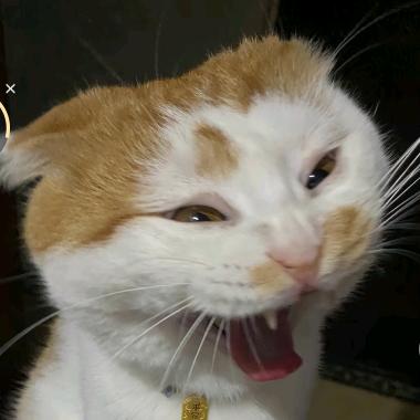 AAAAA五星级牛肉干批发（王哥）