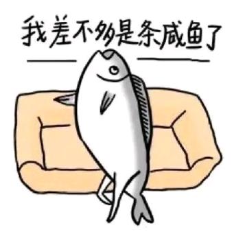 中登的时光