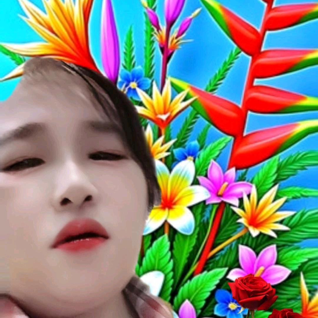 李香平A2566