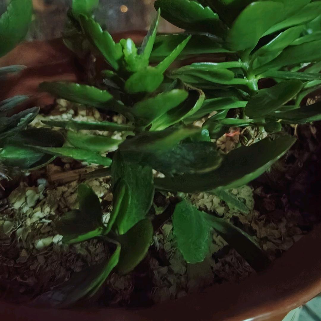 用户168