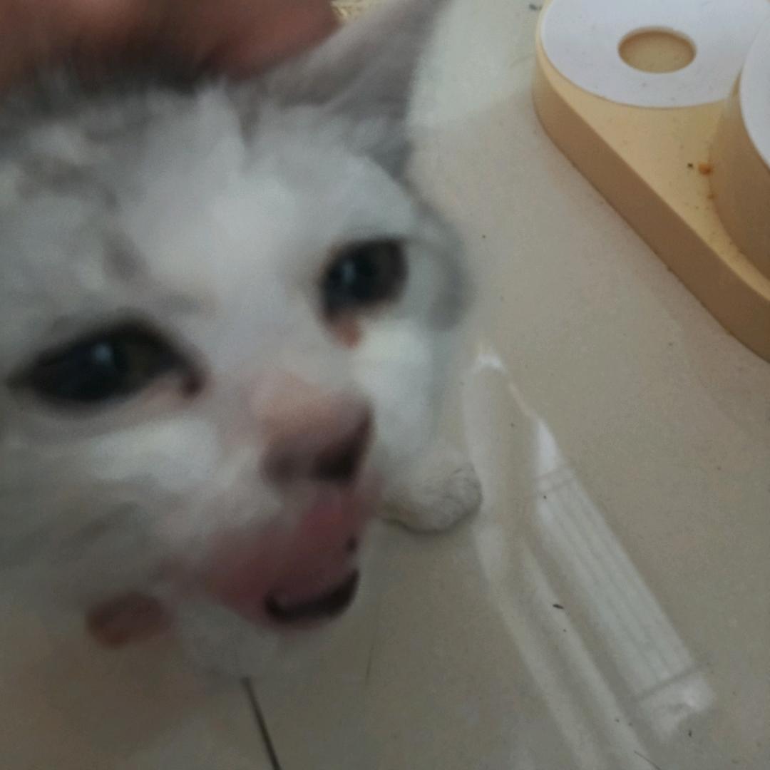 柳瑾行（你渴望力量吗？）