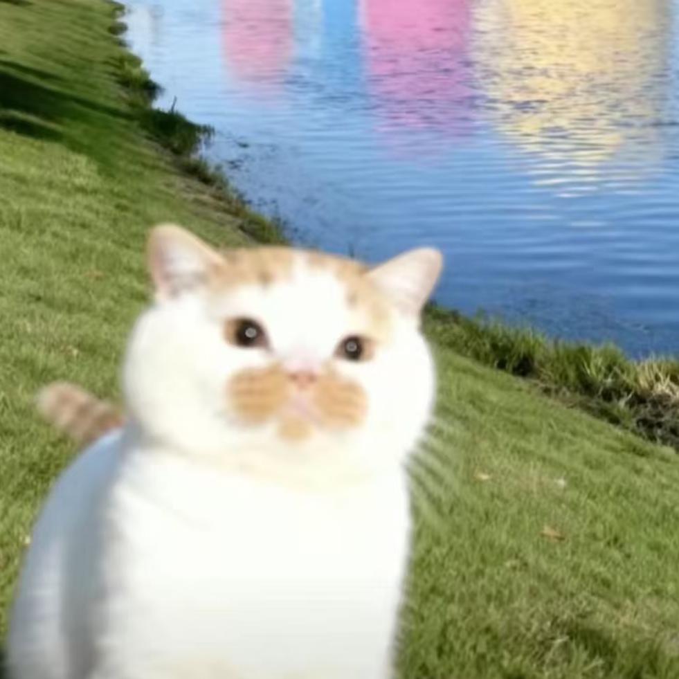 不喜欢我的都没品