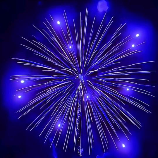 又一年枫叶落🍁