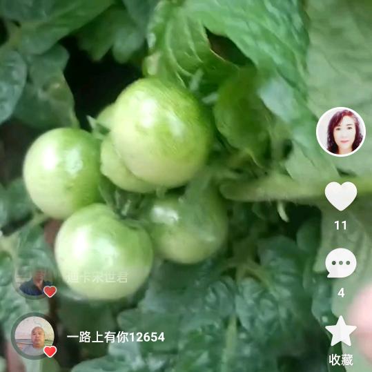 娄兰