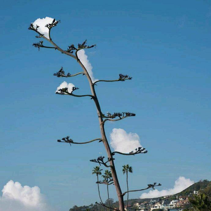 生命因你而动听