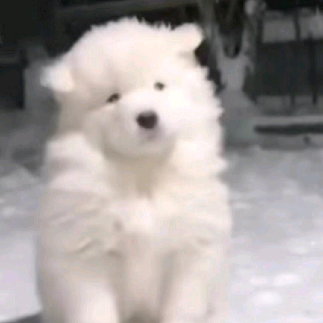 枫沦落