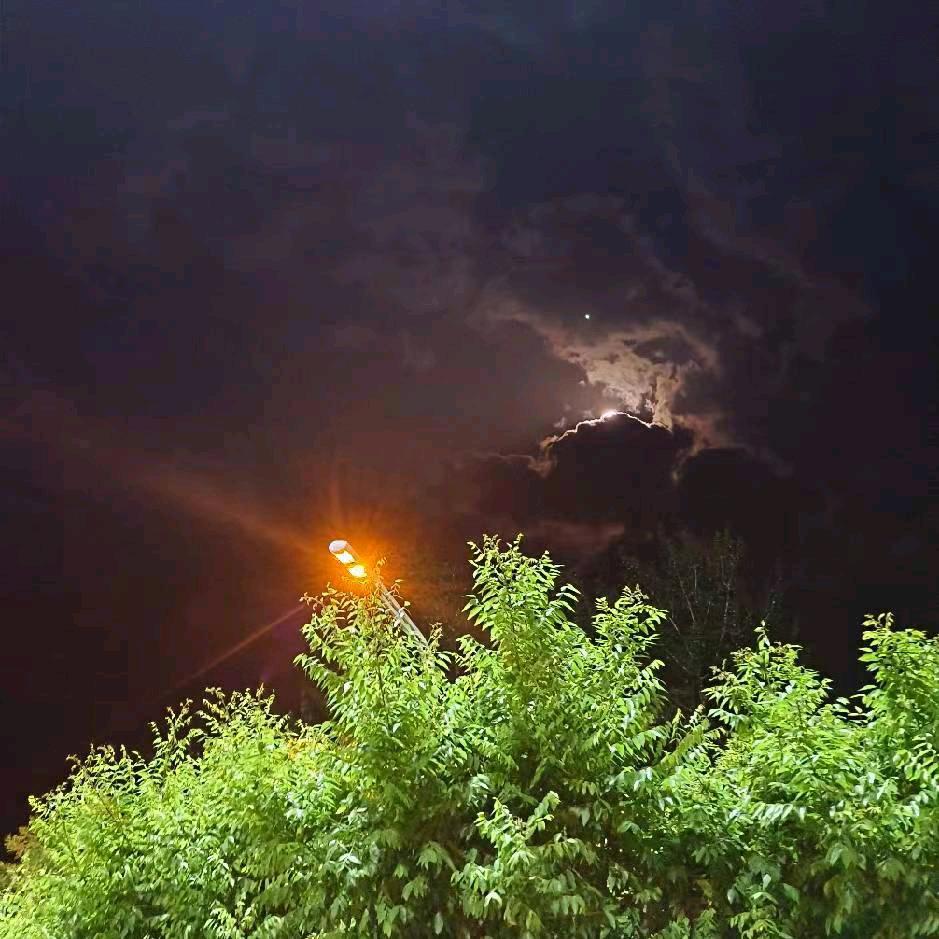 阿正（专注短视频带货）