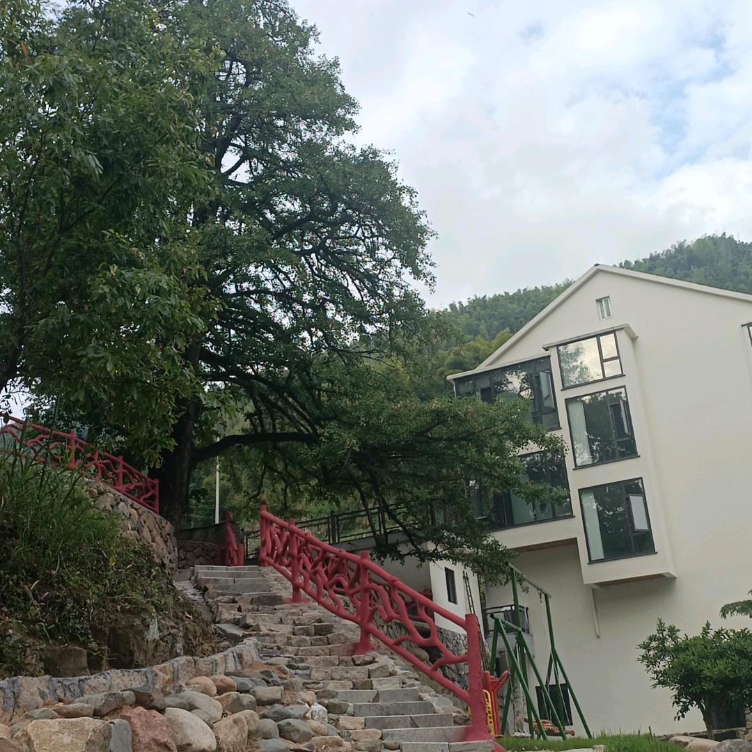 桐庐依树一舍民宿