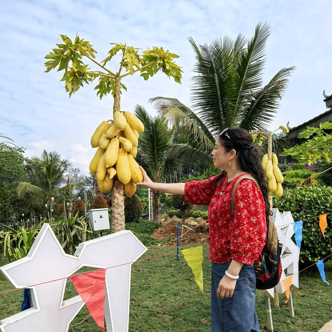 露珠（拒私聊）
