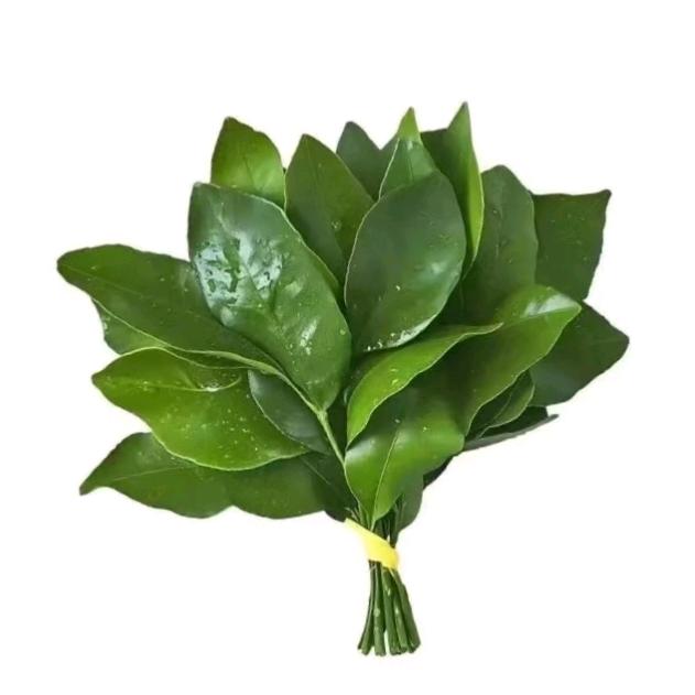 ٩๑۶小謎ঞᩚ糊꧔ꦿ᭄