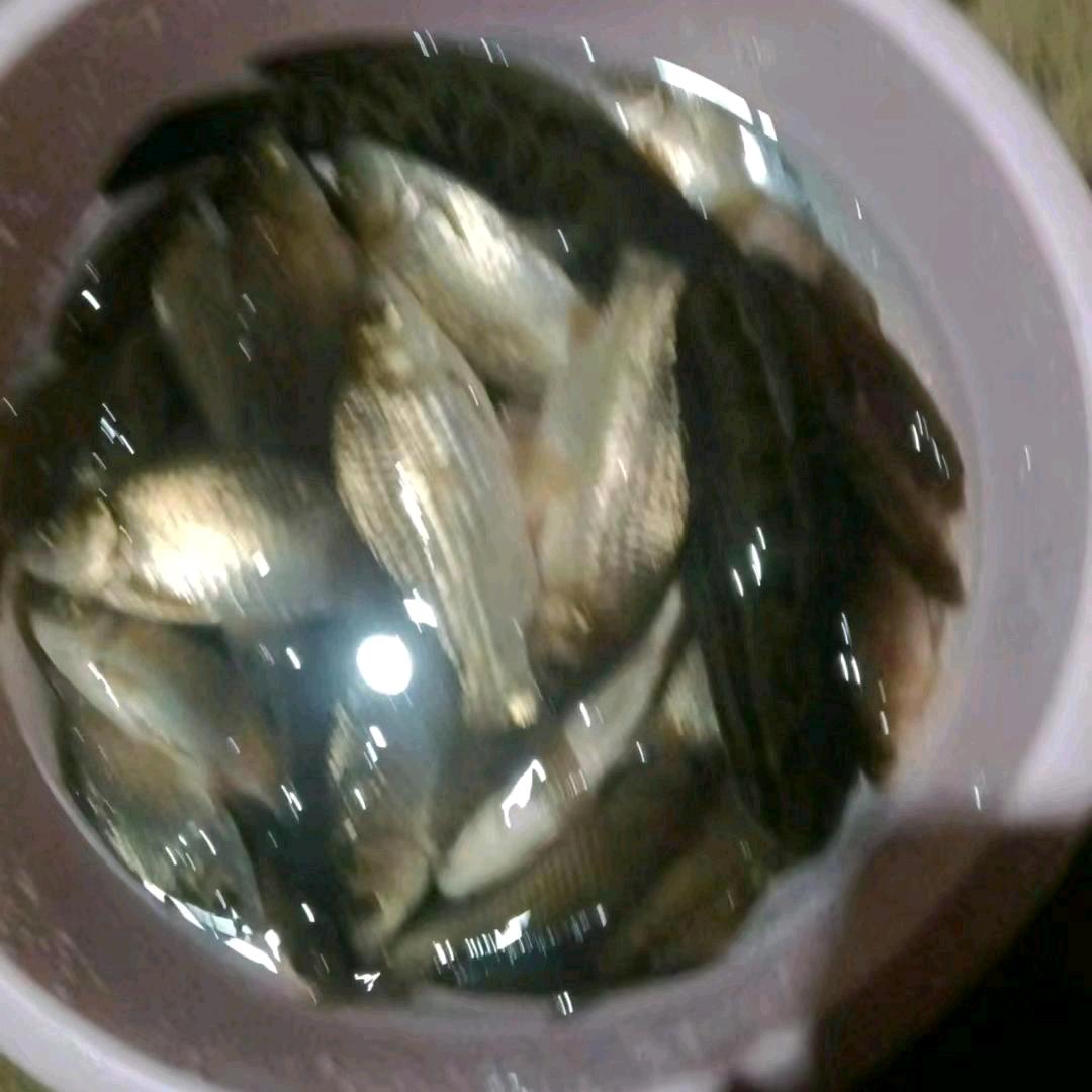 好人一生平安。