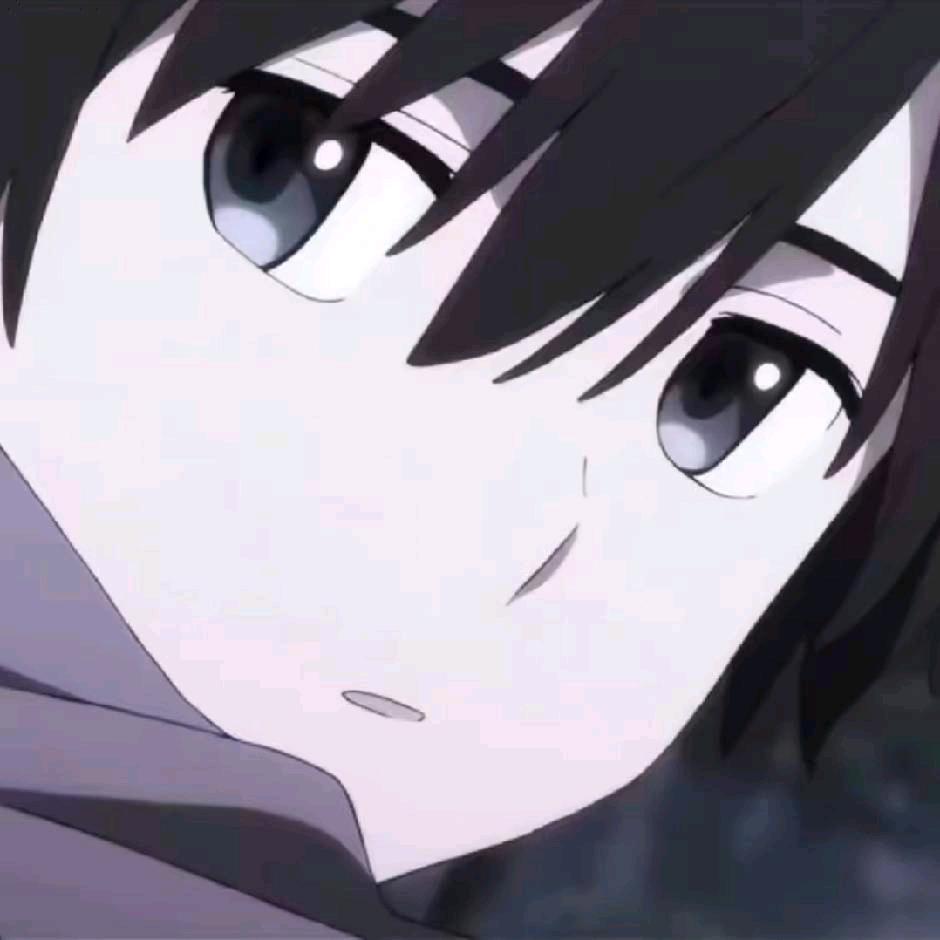 zy