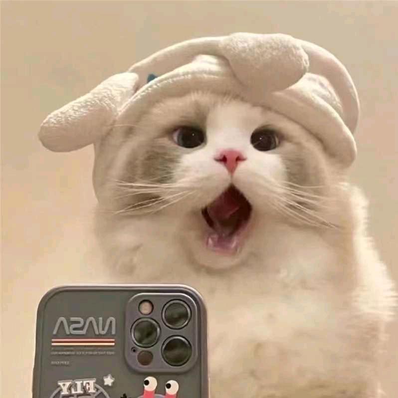 大侠短视频带货