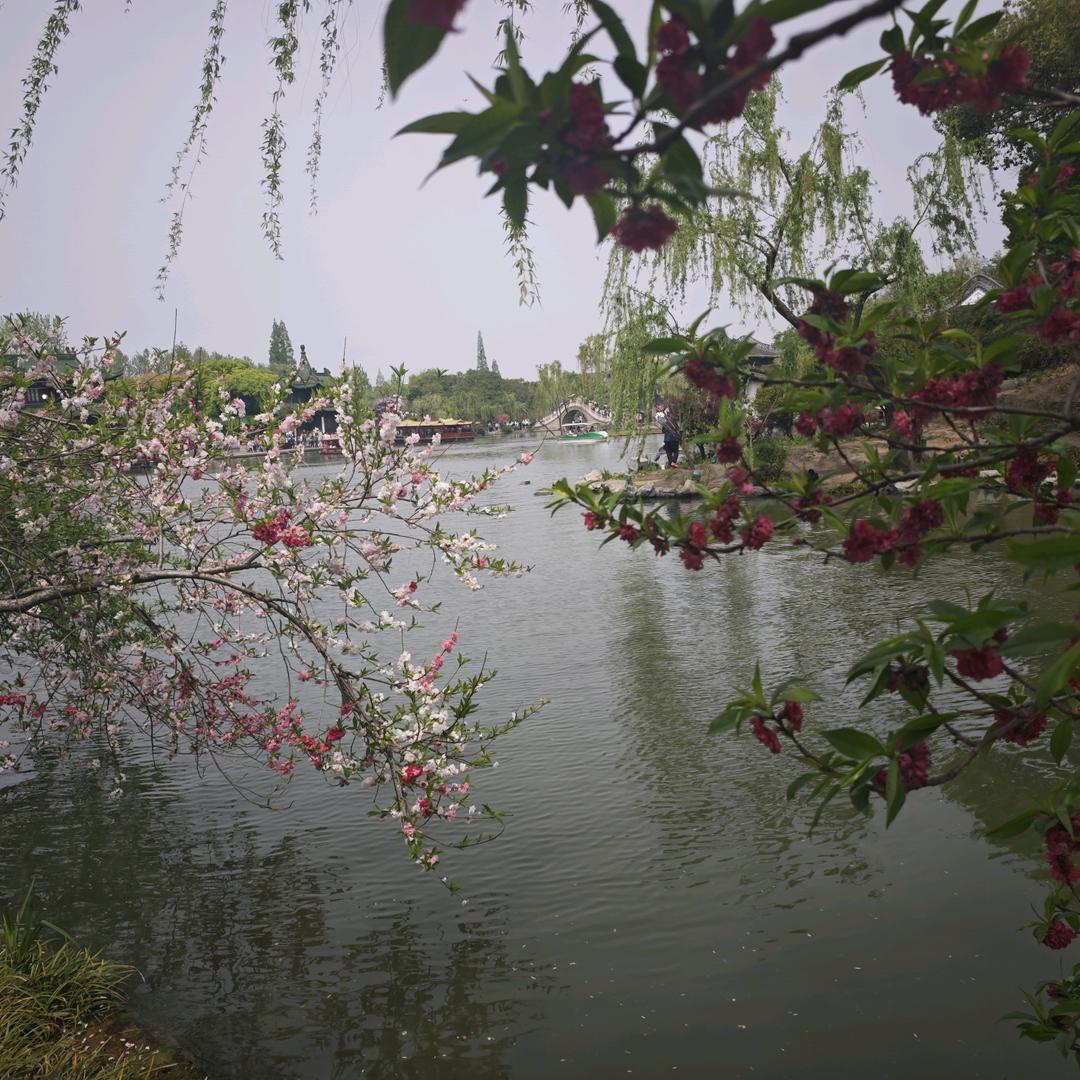 玲珑