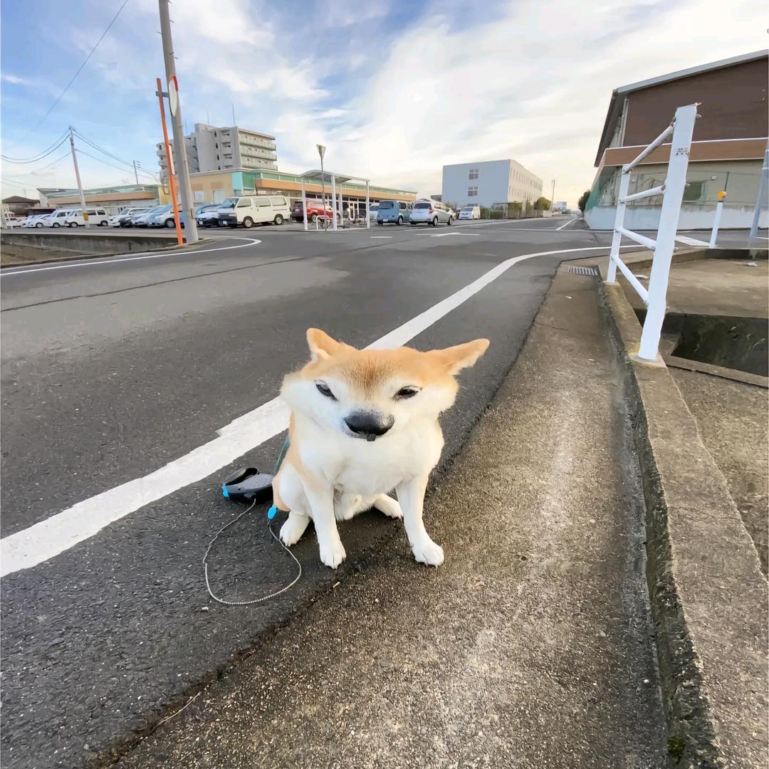 山见山（抖音卸载版）