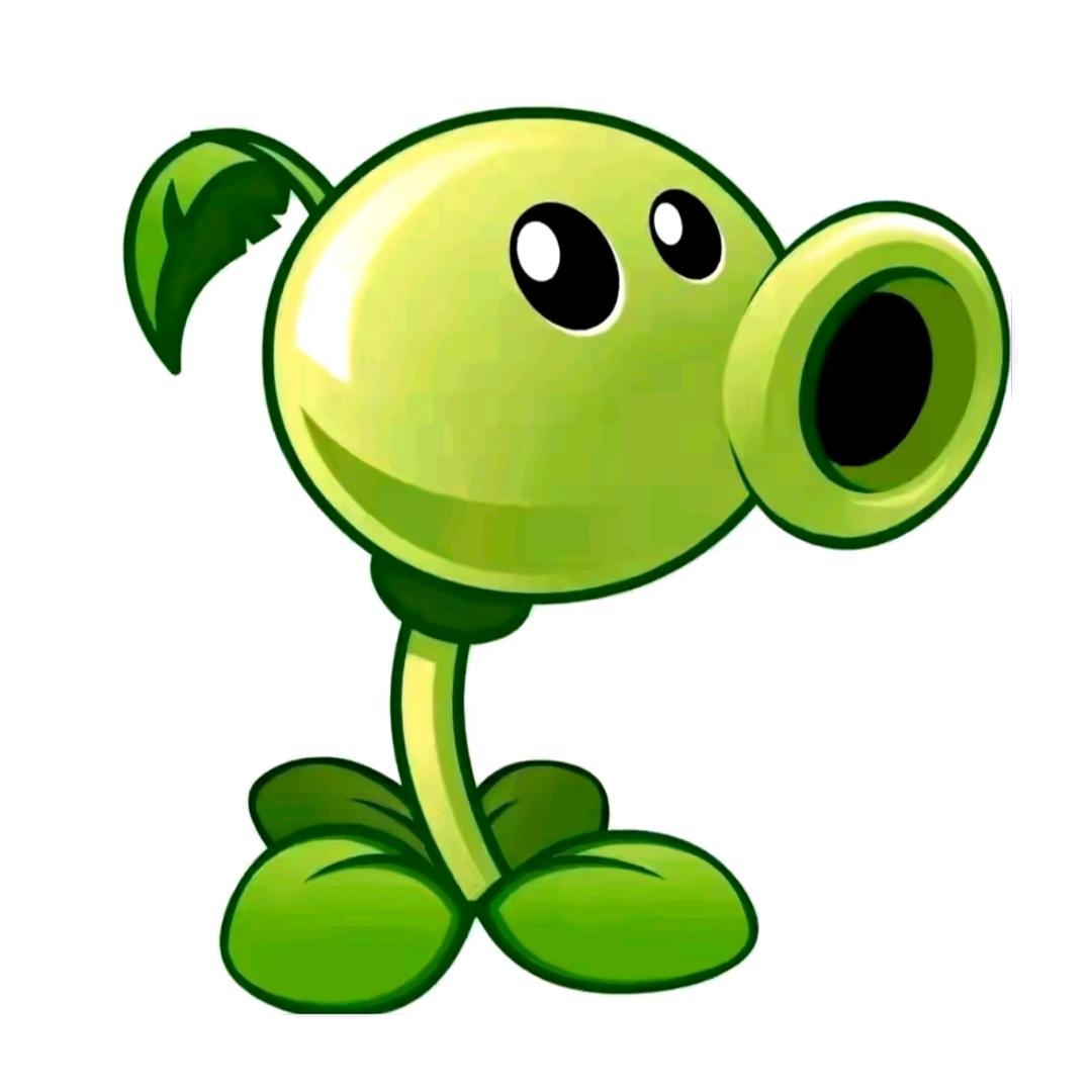 🟢🟢🟢🟢🟢🟢