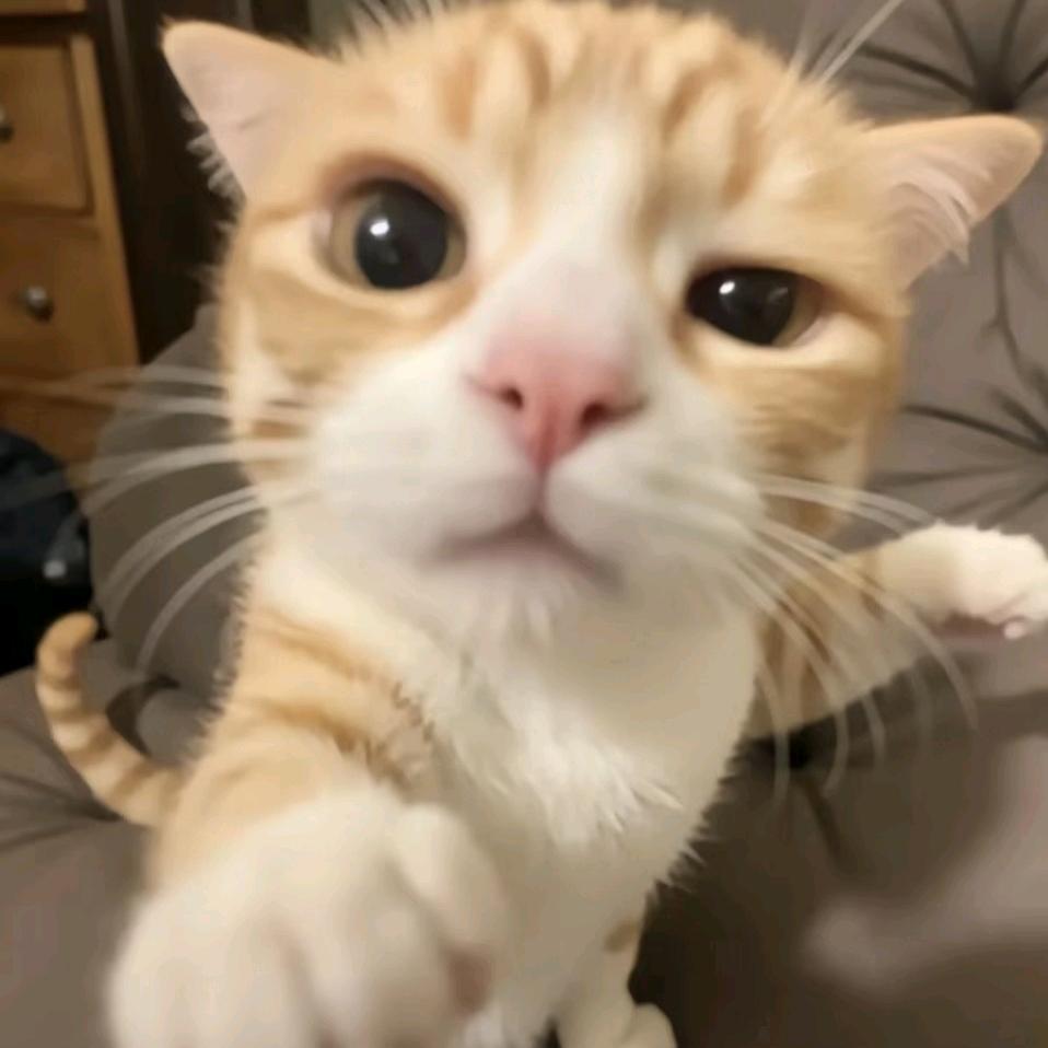 瑾瑾瑾瑾瑾小丁