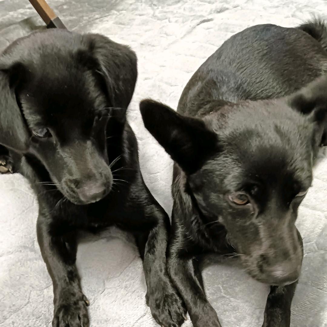 墨墨，团团，早9点20