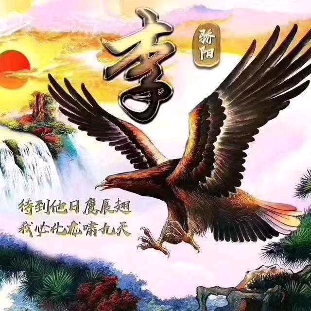 太空飞鹰
