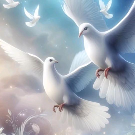 @@ღ᭄星辰如梦ꦿ꧔ꦿ⁵²º᭄：༊