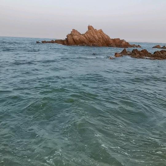 麒麟王