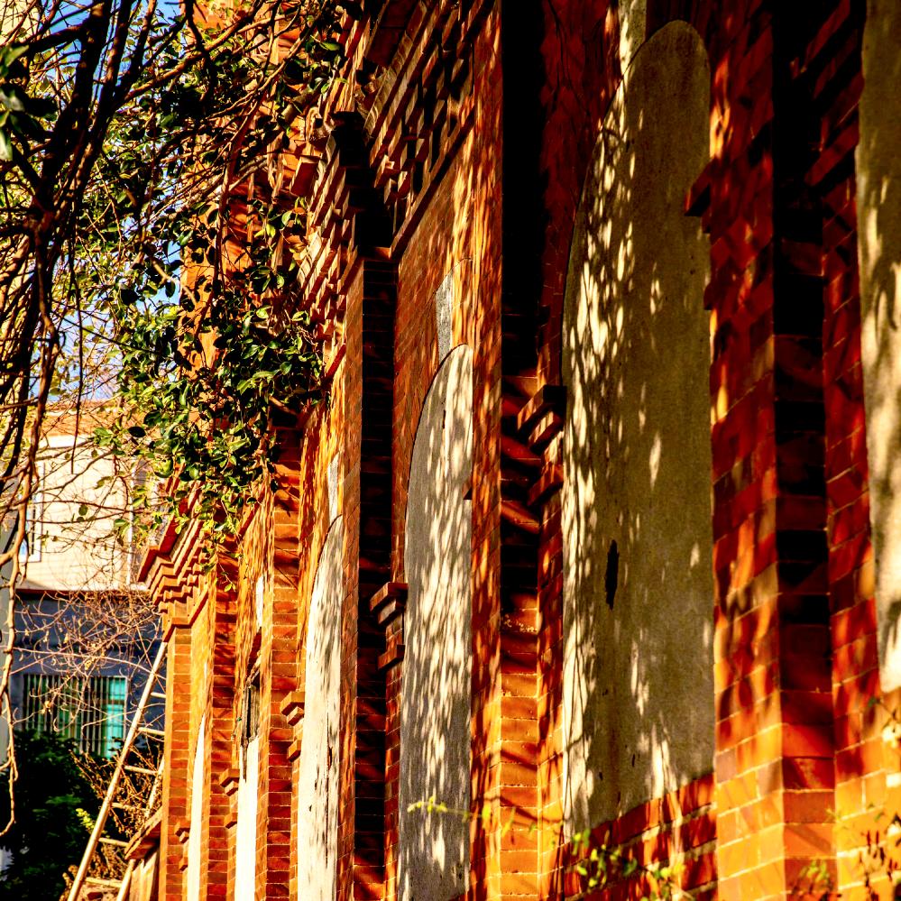 小黄（🦅🇬🇧🇺🇸）