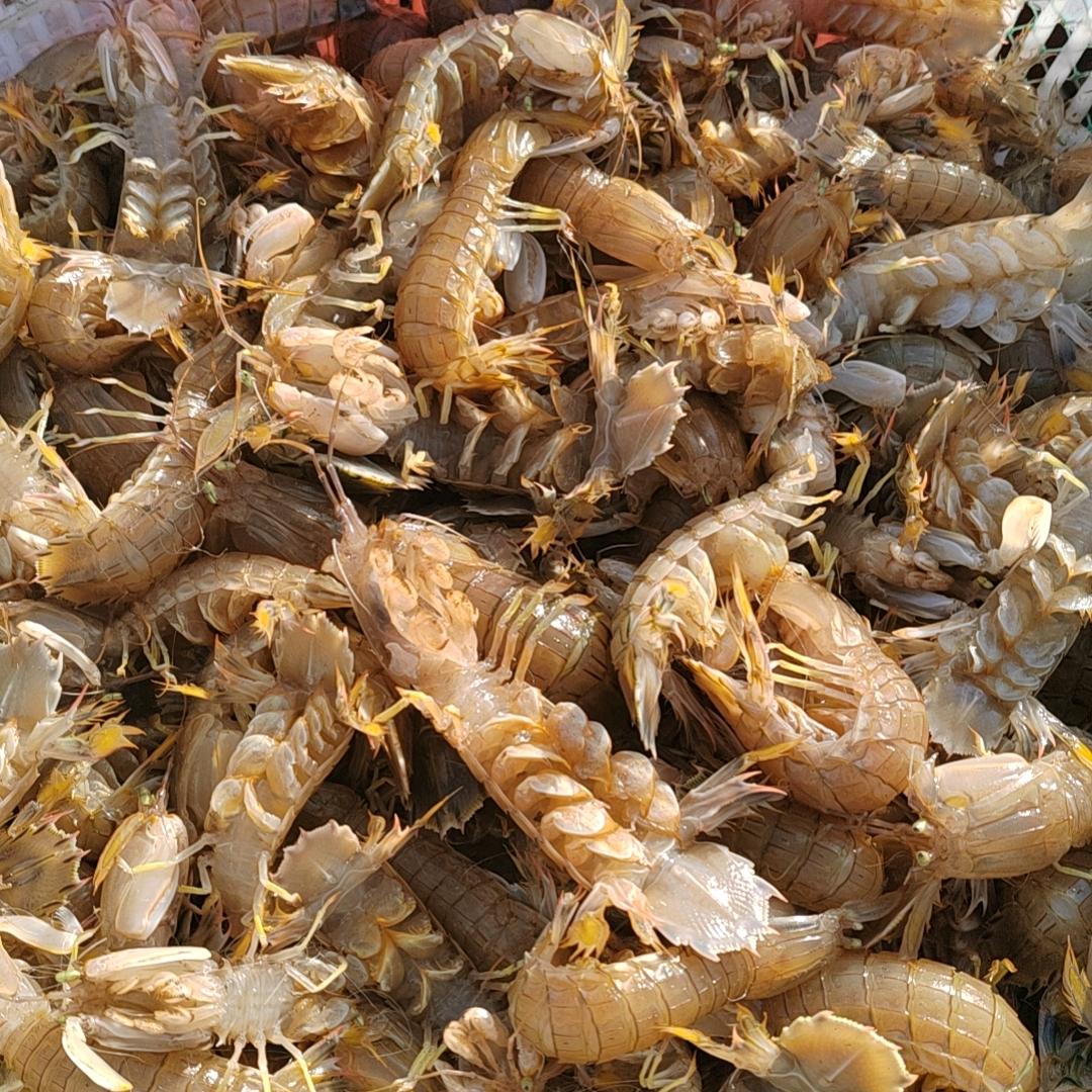 小魚当家水产