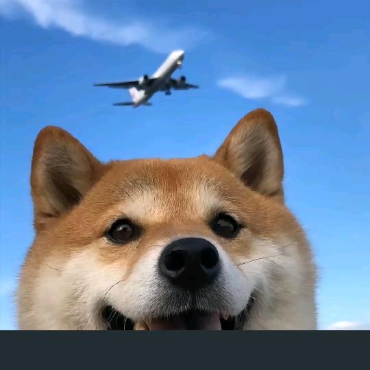 熬夜无敌的小蜗牛果果