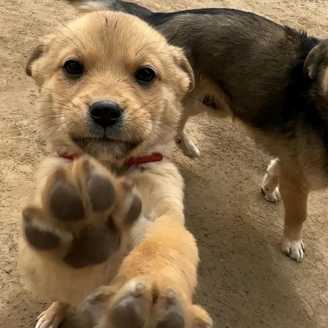 不愿意透漏姓名的张女士