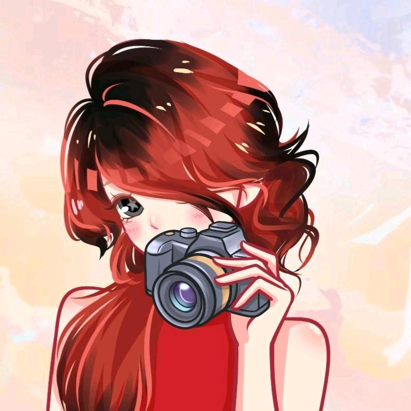 汀乐er（放养版）