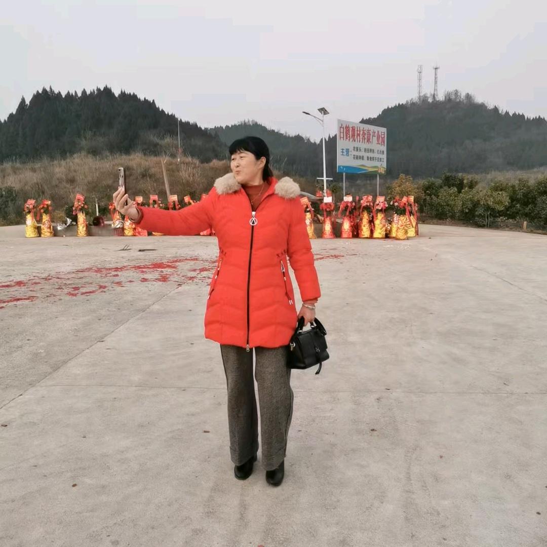 朱姐