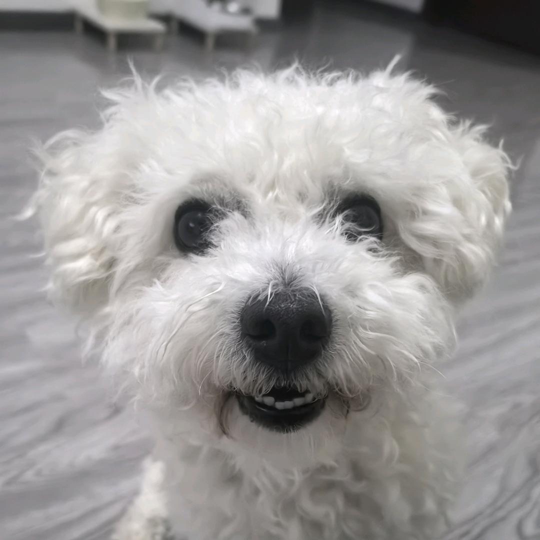 幸运果