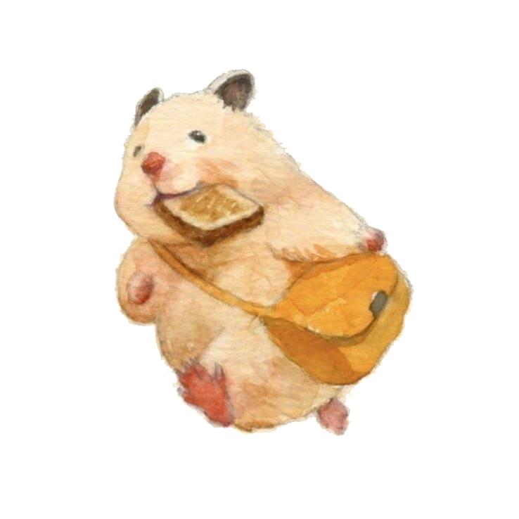 菈妮的锋刃九智法师
