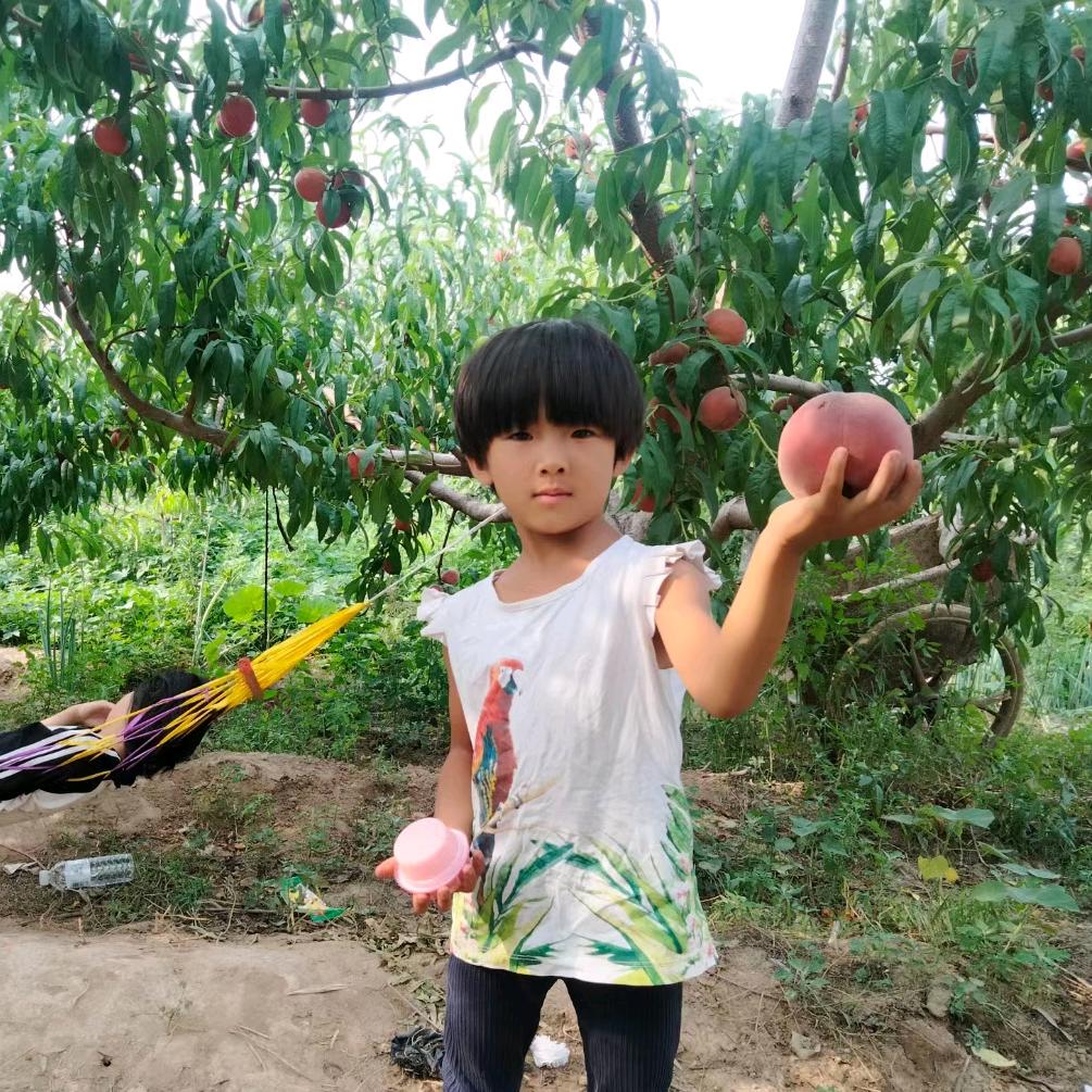 小猴子🐵纯绿色果蔬采摘园:冀丰家庭农场