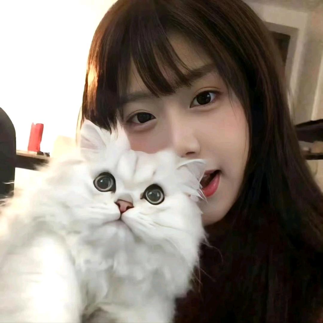 一半95