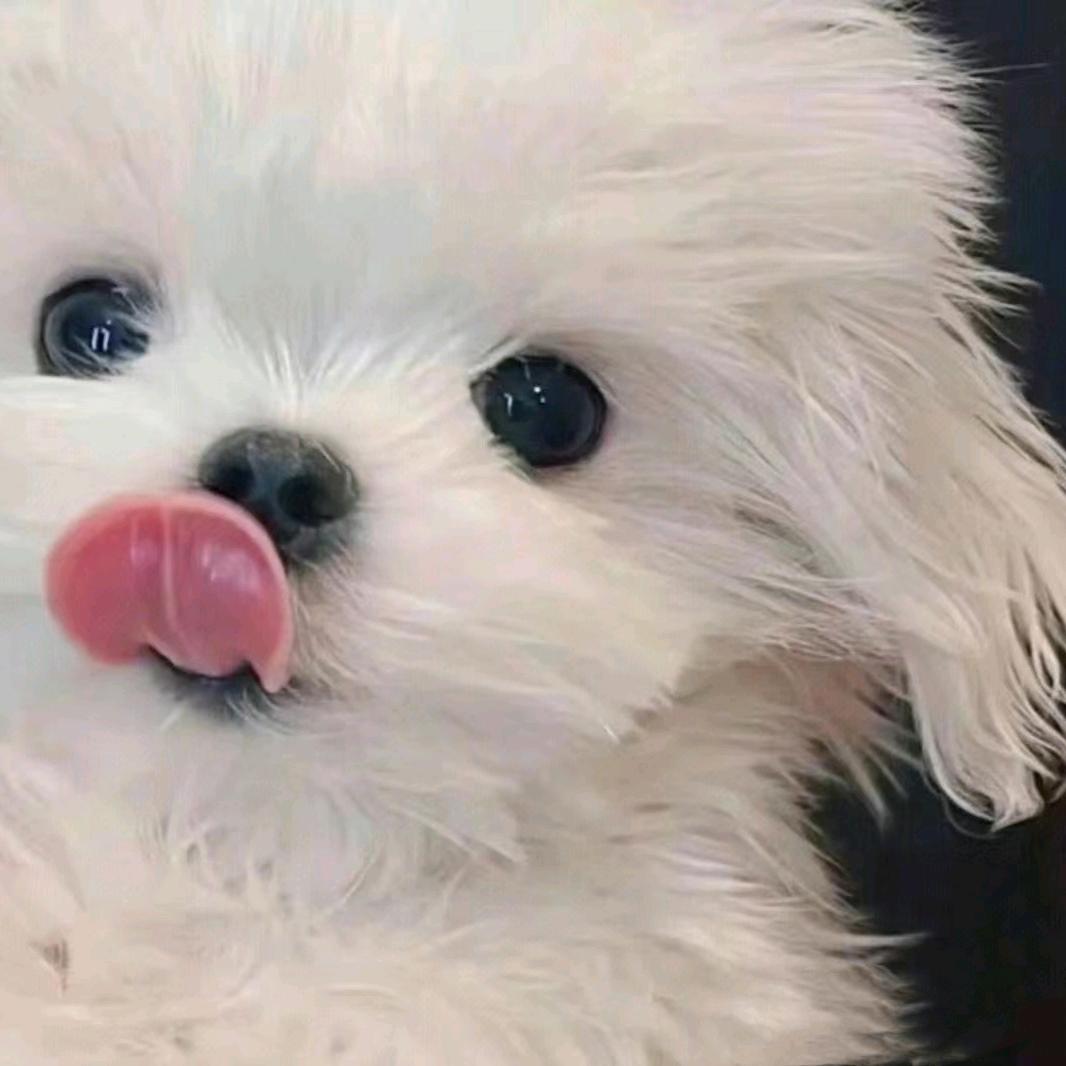 董思怡也太好看了叭