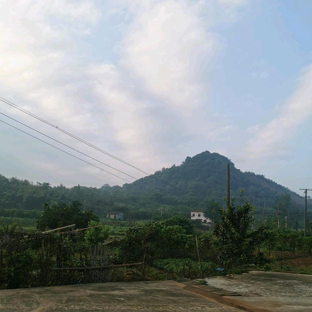 平安是福(｡･ω･｡)ﾉ♡