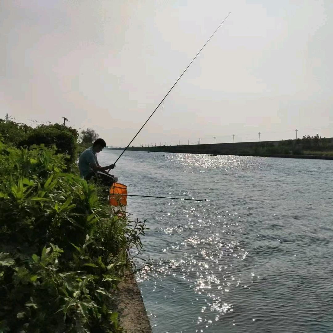 @野钓小景