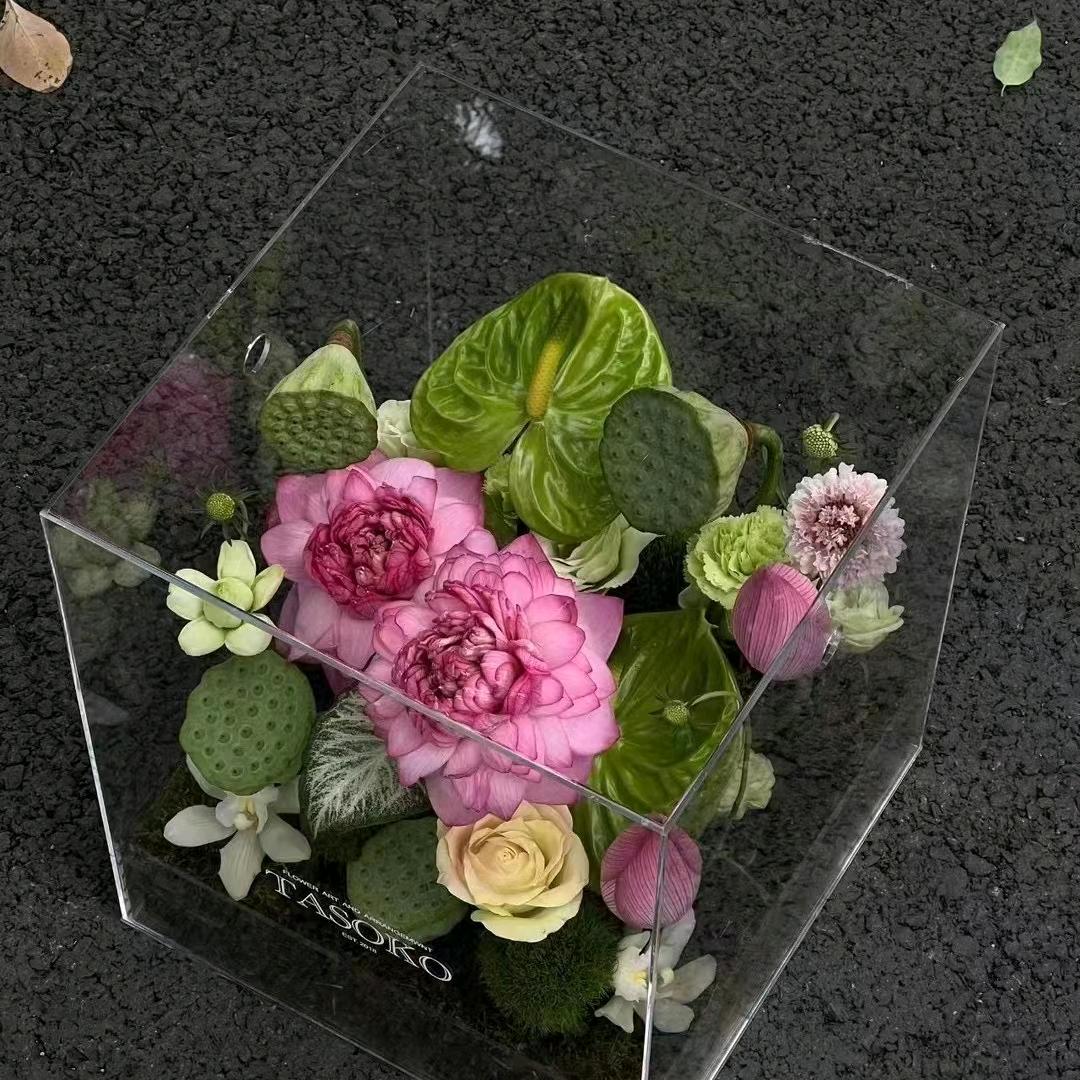 轻舞飞扬