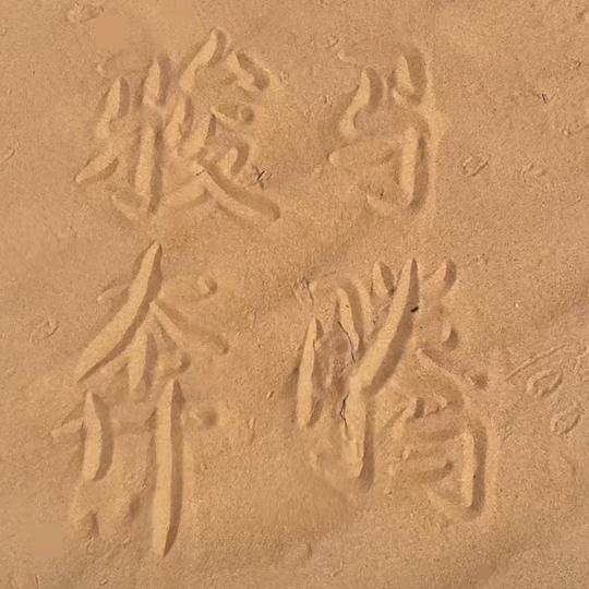 骏🦄⛳️奔腾（616）