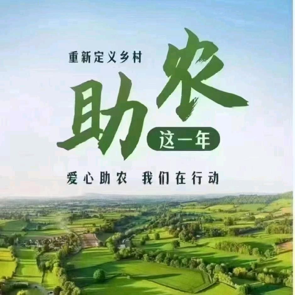 90后-新农人（小郑）（记录美好时光）