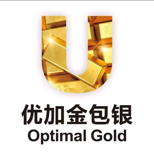 西安优加金包银—文文