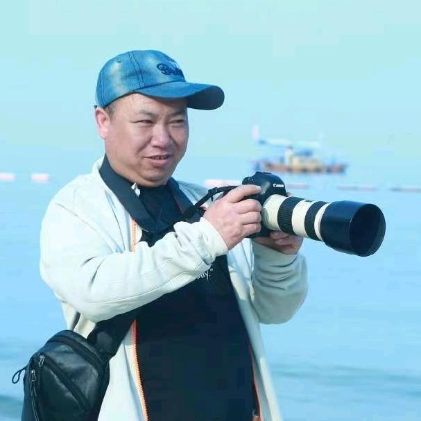 旅拍