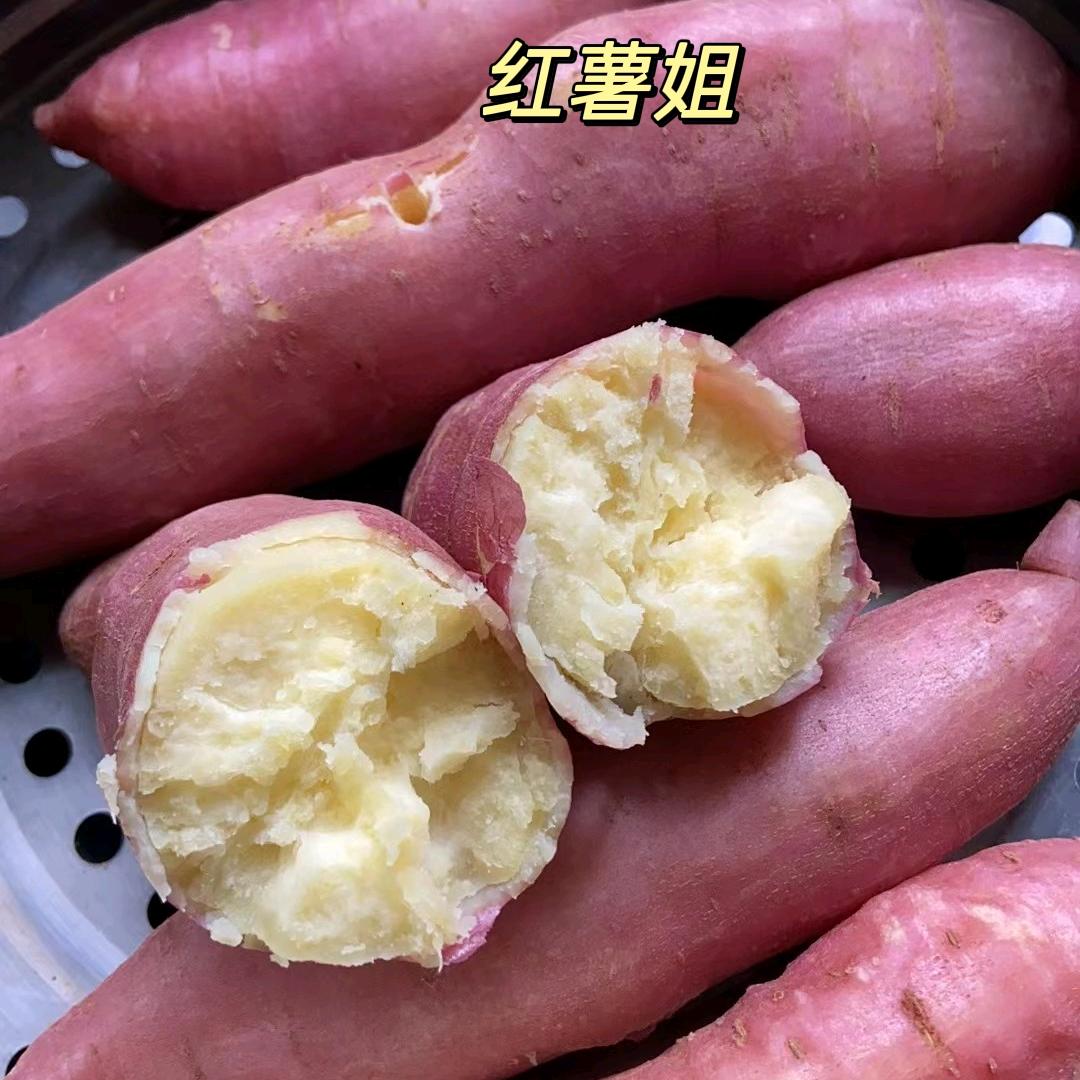 博爱（红薯姐🍠）小号