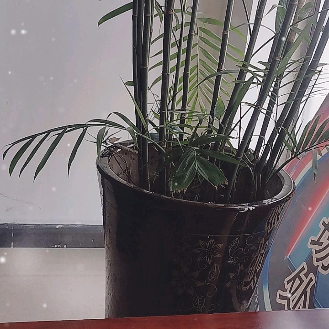 雨后玥光.