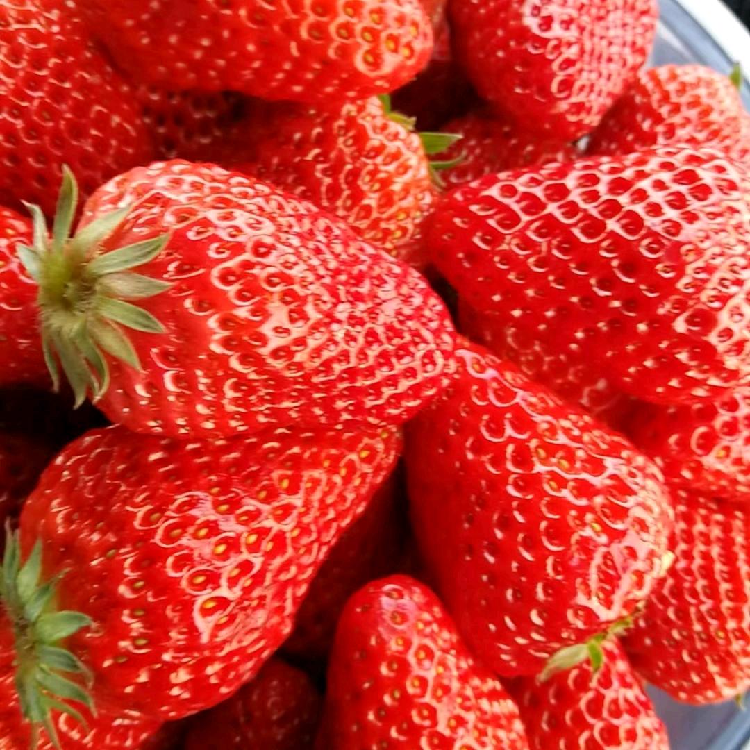 亮亮～1909木家人