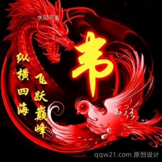 单身哥