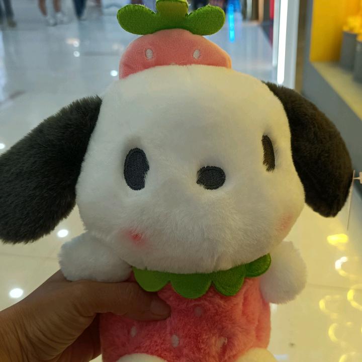 小白2023