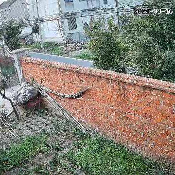 江都区吴桥镇金阳村王小春\