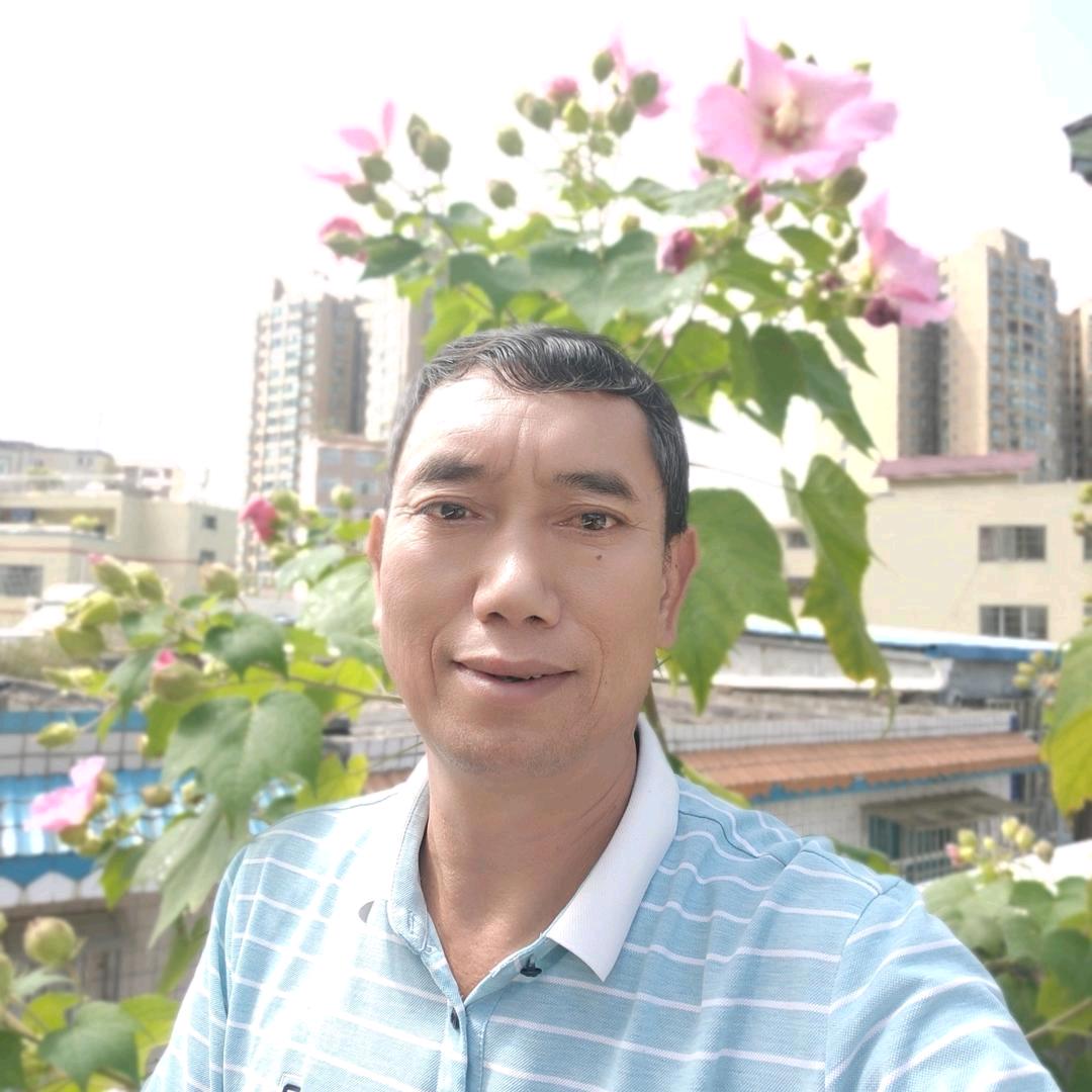 梦🌸想🌲成🌺真🌹(易)